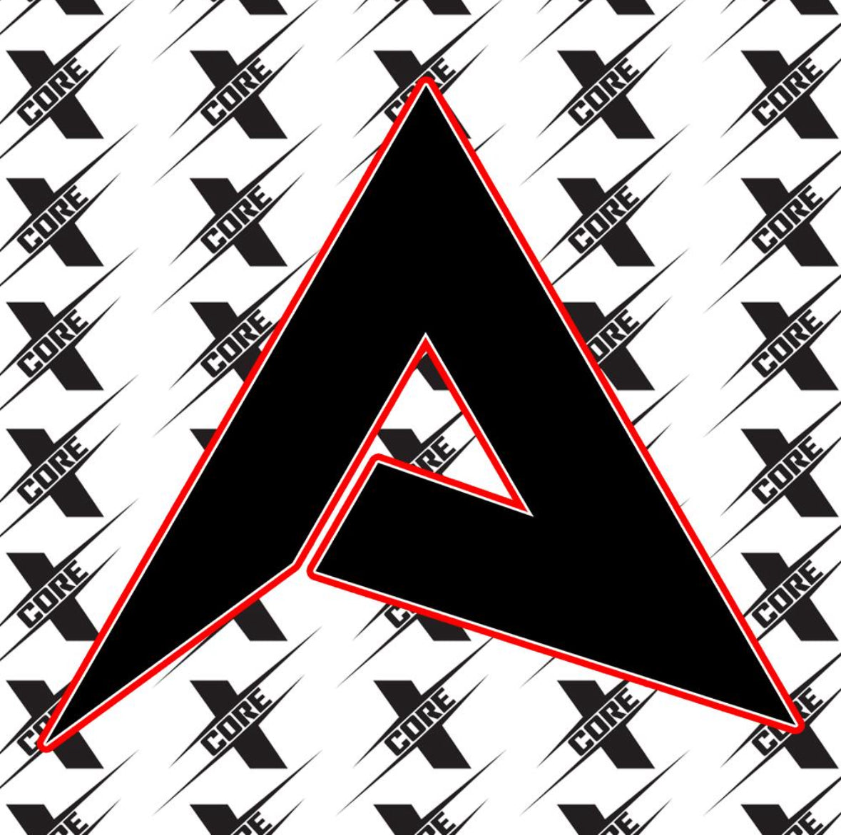 Anarchy Softball Bats