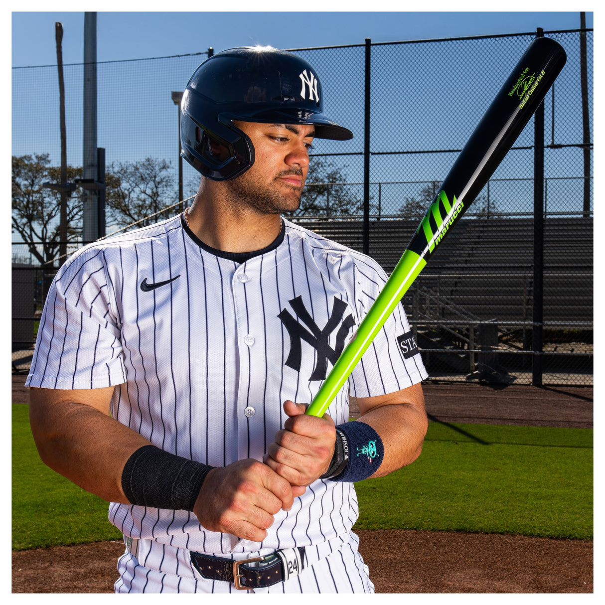 Marucci Jasson Dominguez MARTIAN Pro Exclusive Maple Wood Baseball Bat MVE4MARTIAN-LG/BK