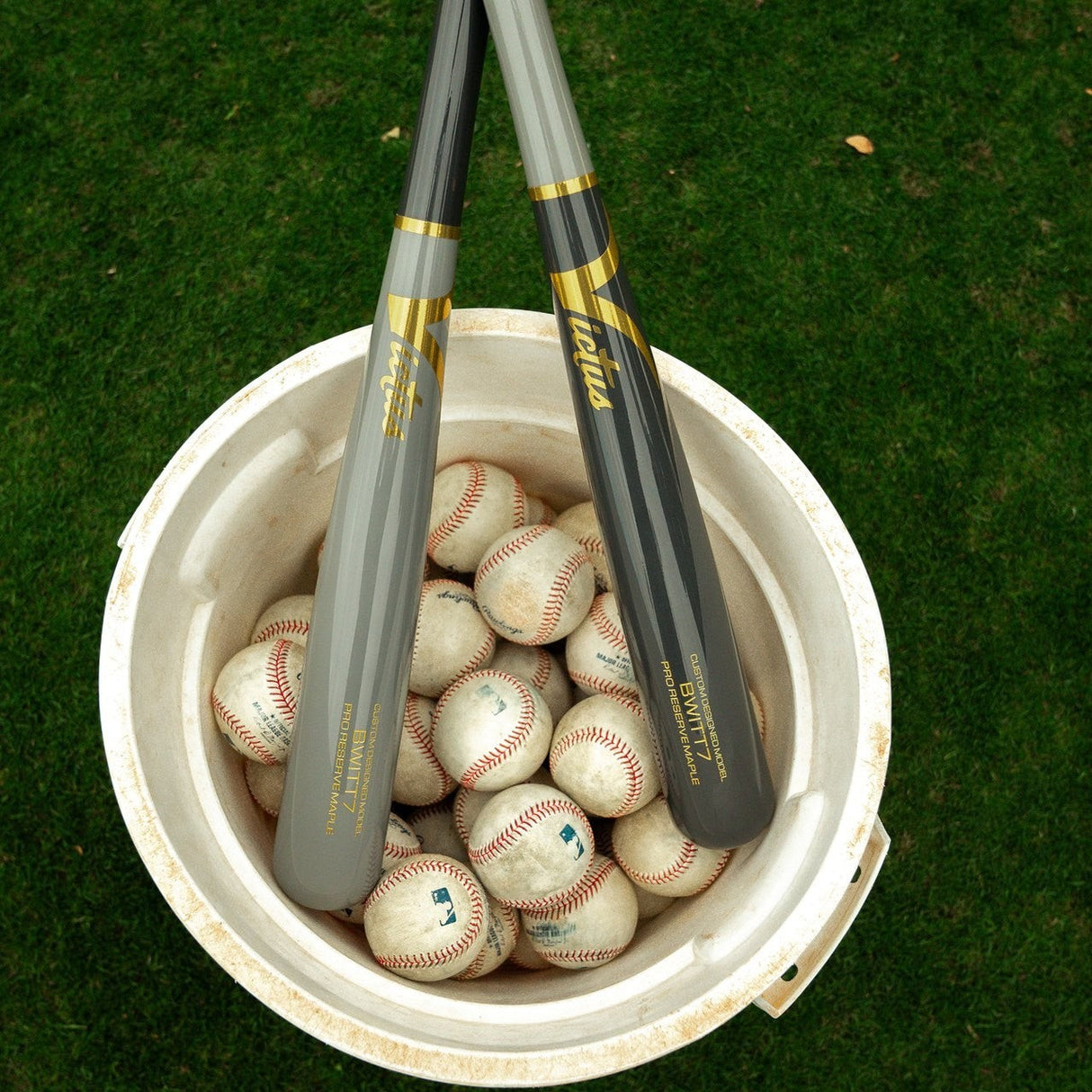 Victus Bobby Witt Jr. BWITT7 Pro Reserve Birch Wood Baseball Bat VRWBBW7-NG/CH