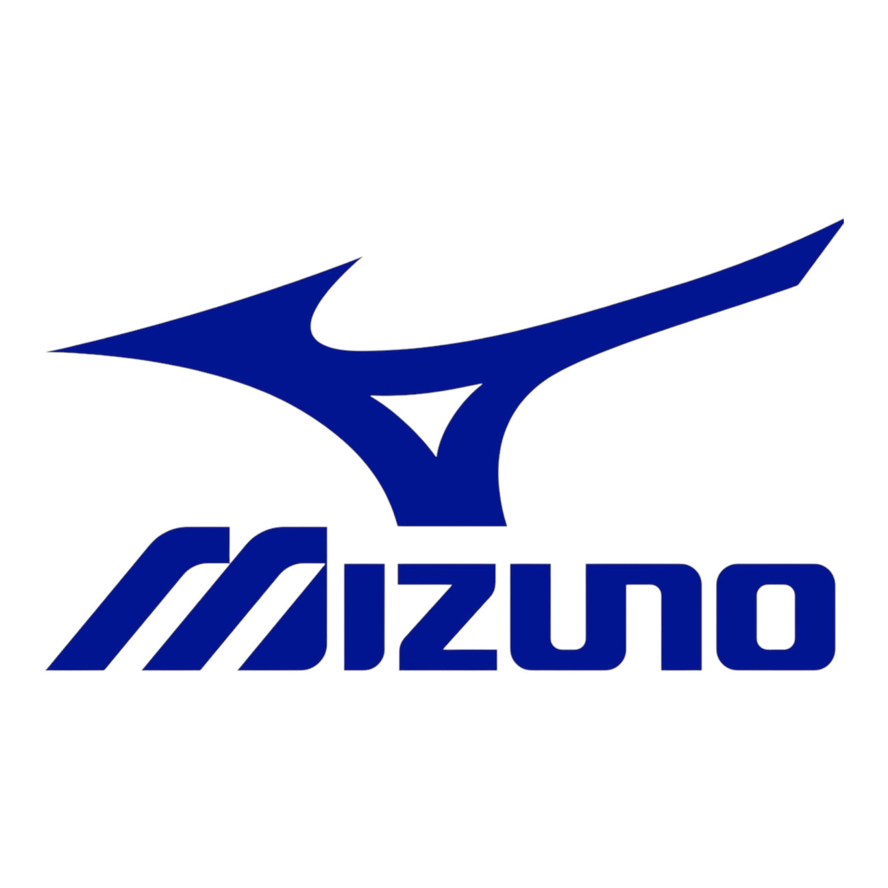 Mizuno Baseball Bats