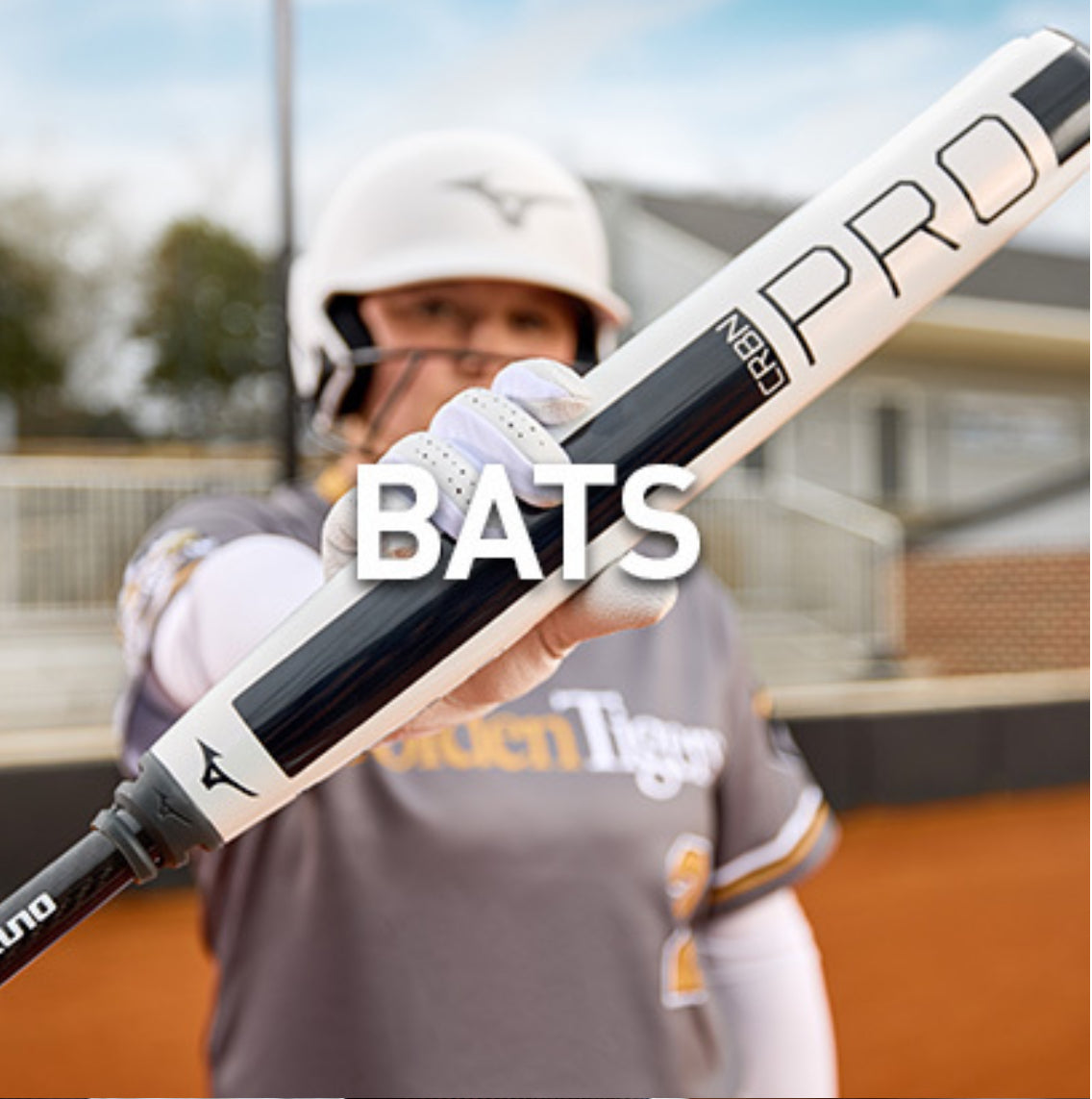 Mizuno Fastpitch Bats