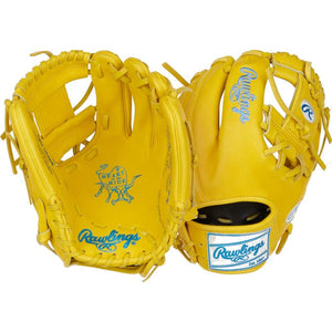 Rawlings Heart of the Hide ColorSync 9.0 Baseball Glove PROR204-2Y